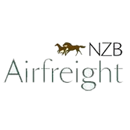 NZB-airfreight