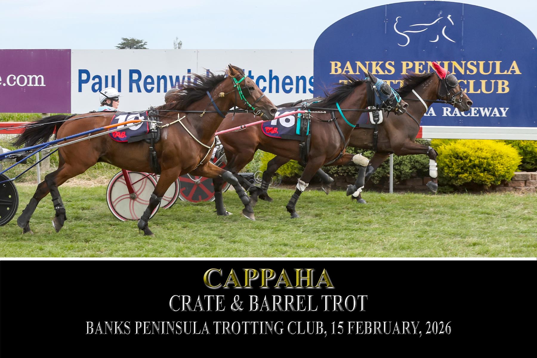 RACE 11 CAPPAHA